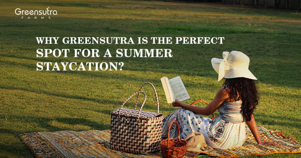 Why GreenSutra is the Perfect Spot for a Summer Staycation
