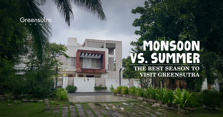 The Best Season to Visit GreenSutra