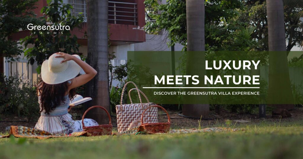 Luxury Meets Nature - Discover the GreenSutra Villa Experience
