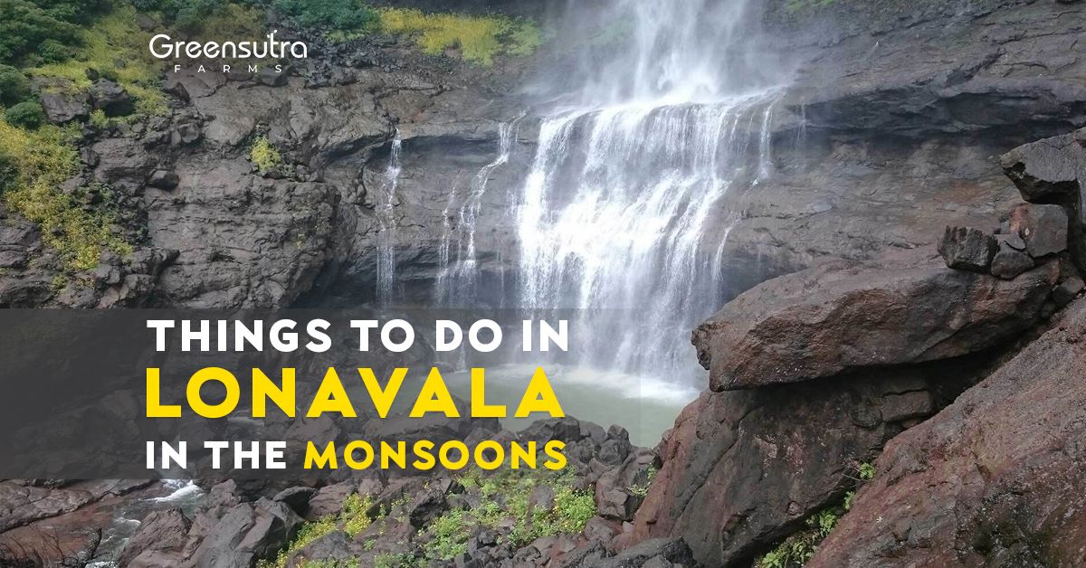 Discovering the Hidden Gems of Lonavala in the Monsoon.