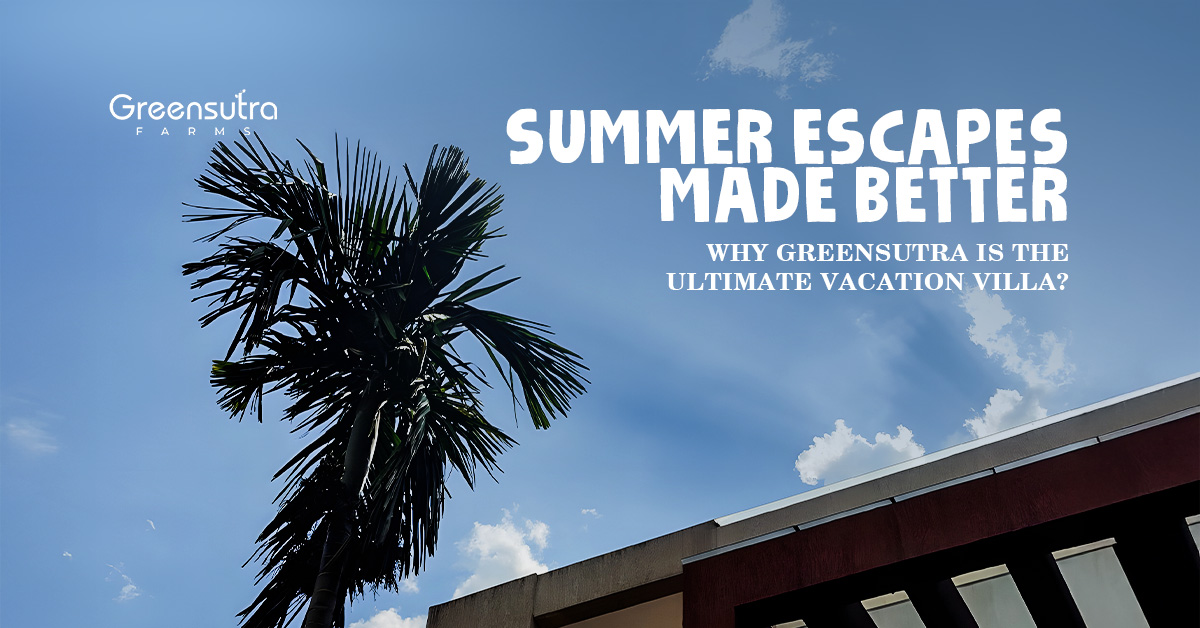 Summer Escapes Made Better: Why GreenSutra is the Ultimate Vacation Villa?