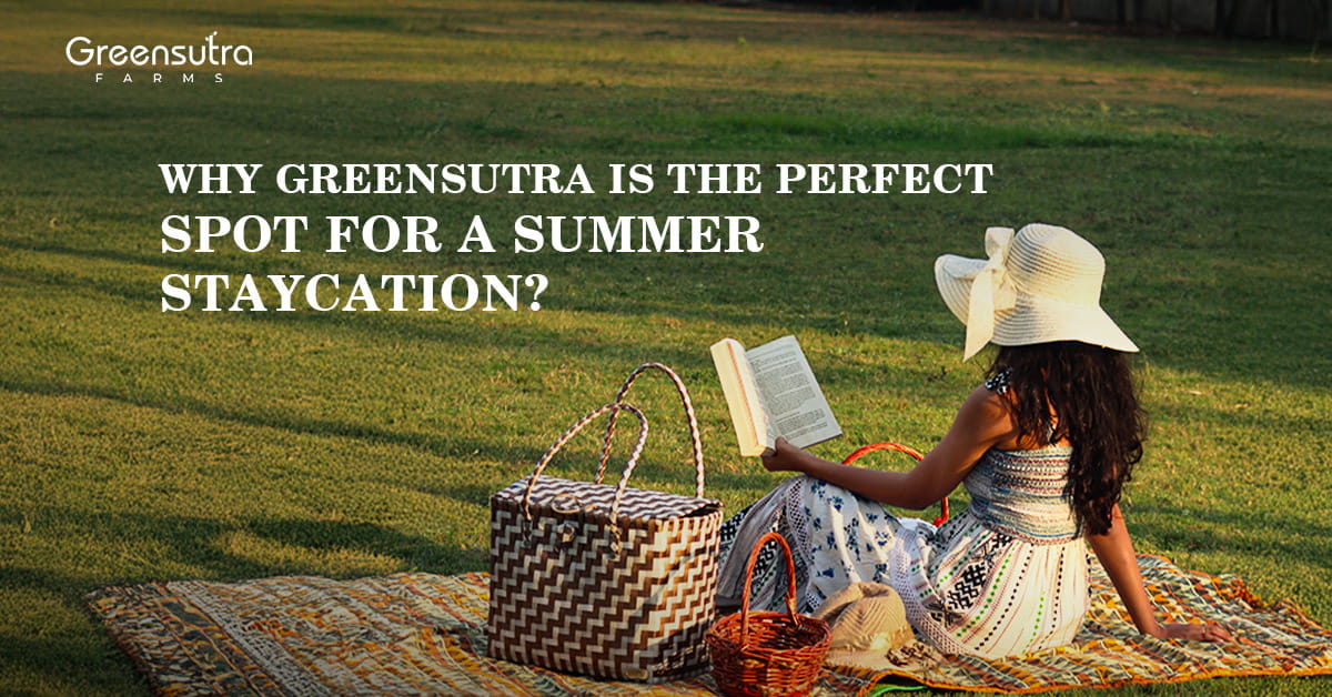 Why GreenSutra is the Perfect Spot for a Summer Staycation?