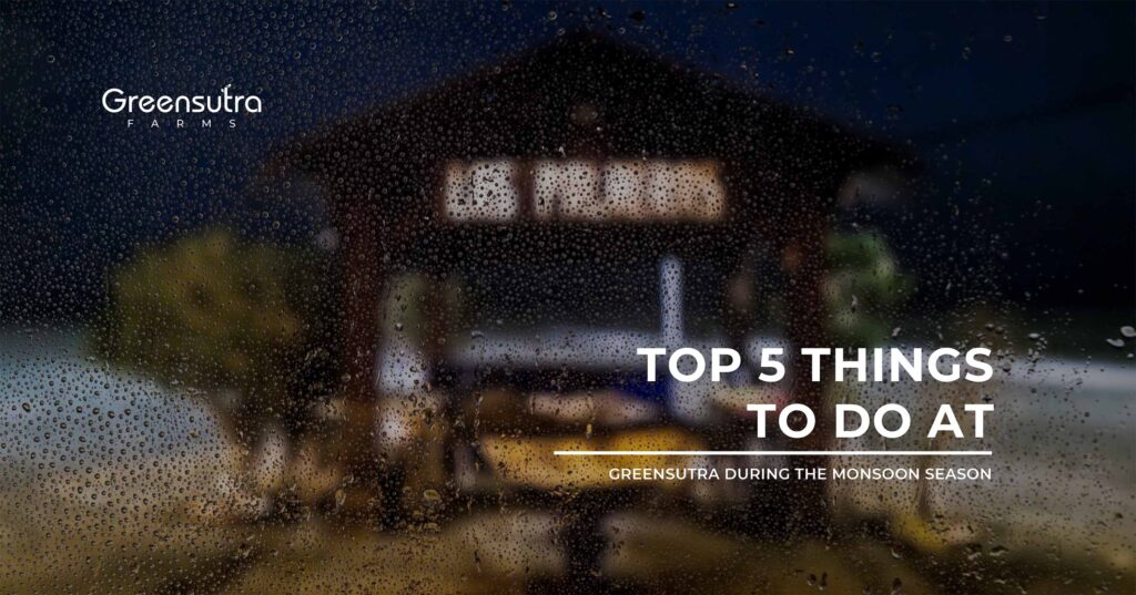 Top 5 Things to Do at GreenSutra During the Monsoon Season