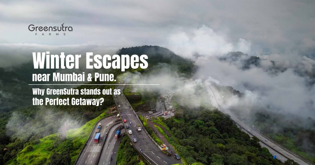 Why GreenSutra Stands Out as the Perfect Getaway