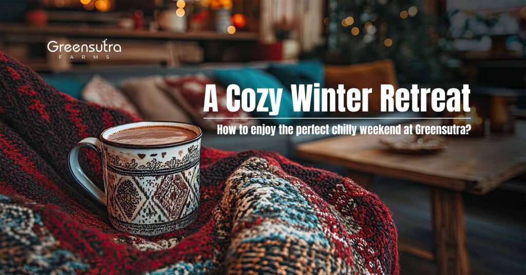 How to Enjoy the Perfect Chilly Weekend at GreenSutra