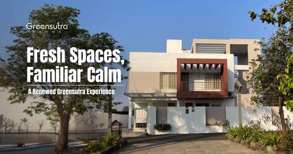 Fresh Spaces, Familiar Calm A Renewed GreenSutra Experience